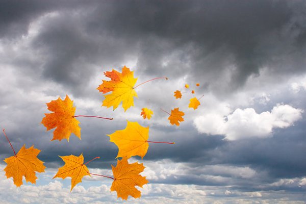 Осенний фон для детей