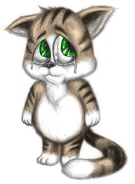 Грустный котик