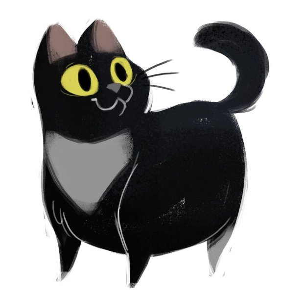 Heather Nesheim собаки