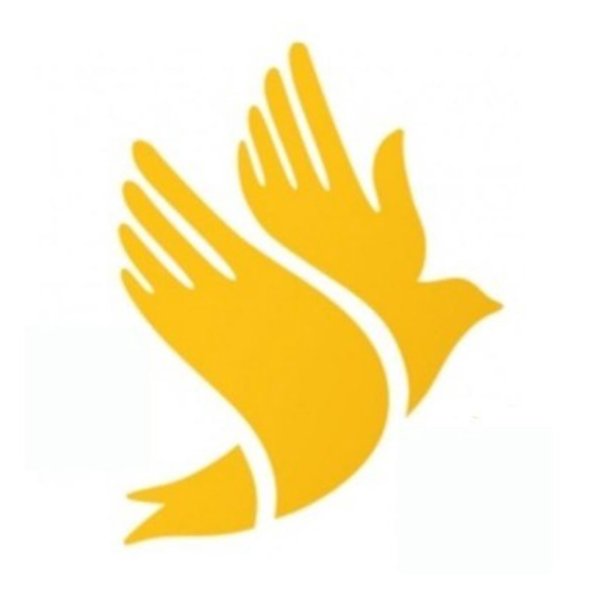 Золотые руки