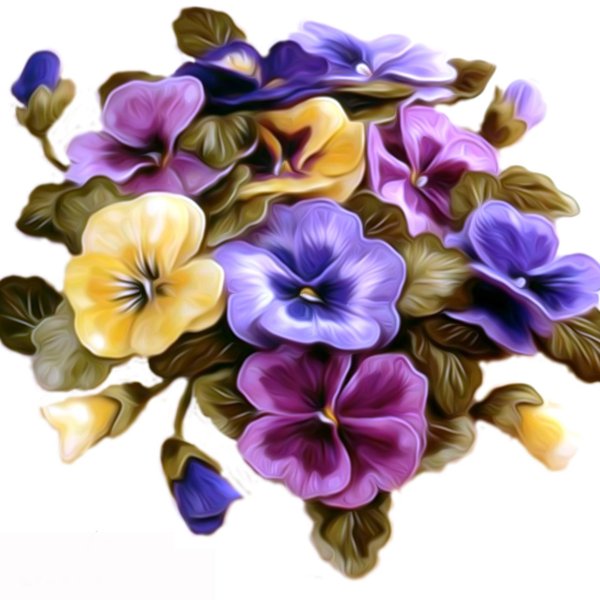 Фиалка вектор