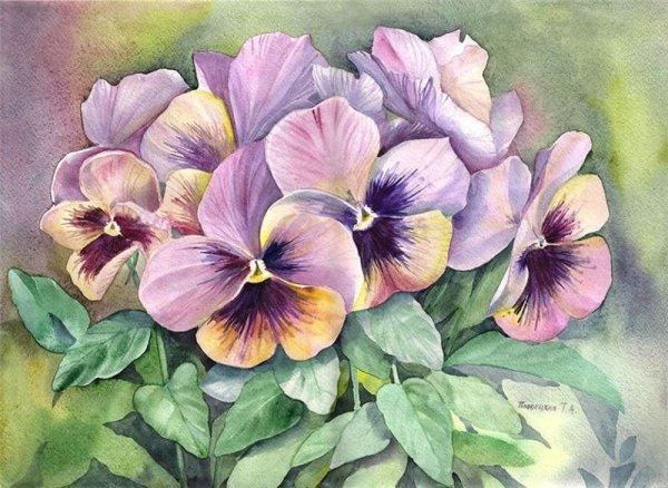 Акварели Татьяны Пловецкой