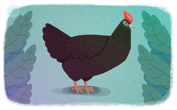 Курица раскраска