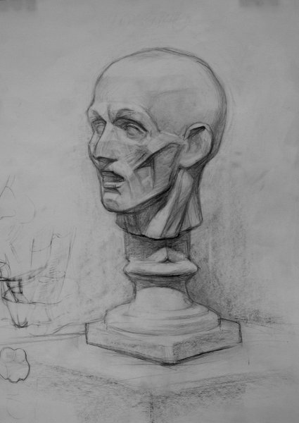 Голова Экорше Гудона в профиль