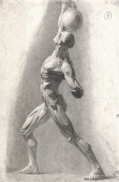 Рисунок Экорше головы Гудона