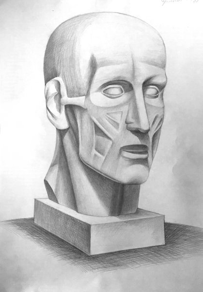 Экорше Гудона голова