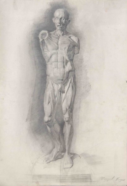 Гипсовая голова Экорше Гудона