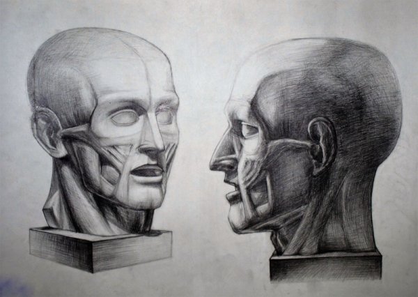 Обрубовка головы Академический