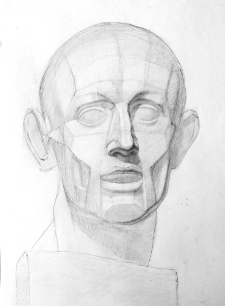 Экорше торс Академический рисунок