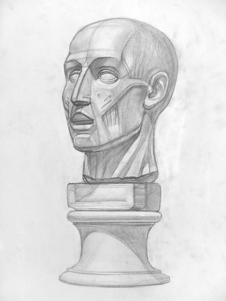 Экорше гипс голова рисунок