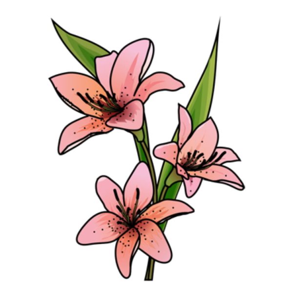 Цветы рисунок