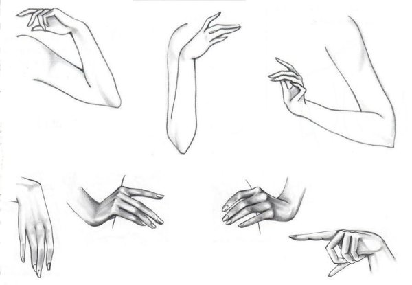 Женская рука рисунок