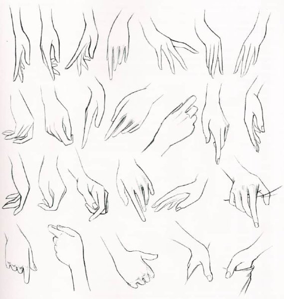 Женские руки для рисования