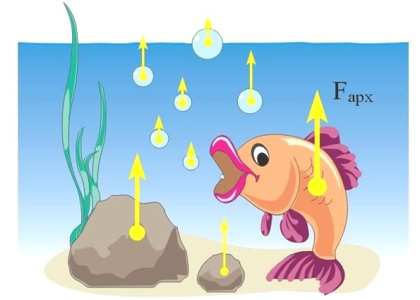 Сила Архимеда для детей