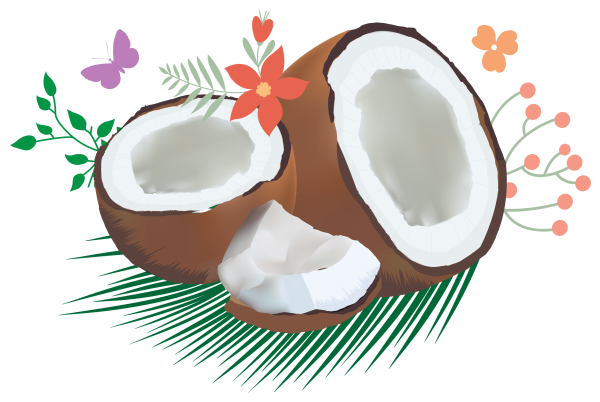 Кокос на прозрачном фоне
