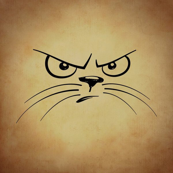 Злой кот рисунок