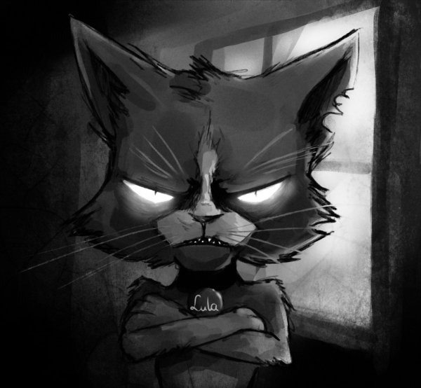 Злой кот на аву