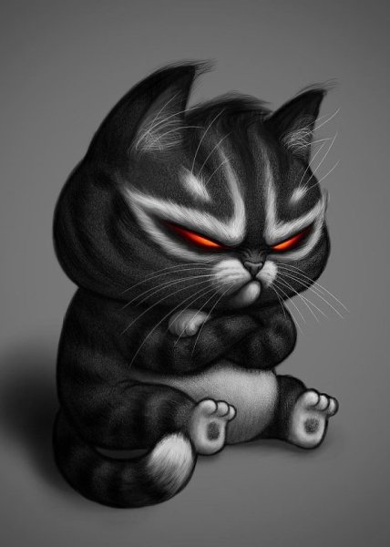 Злой кот