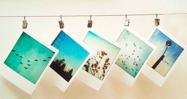 Фотоаппарат Polaroid Clipart