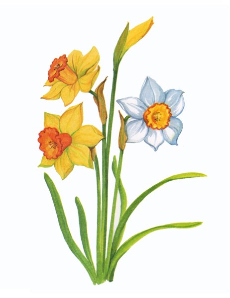 Математические пазлы цветы