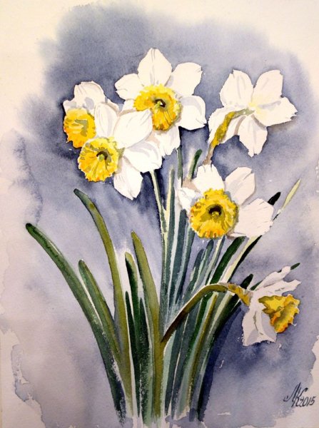 Этюд первоцветы нарциссы
