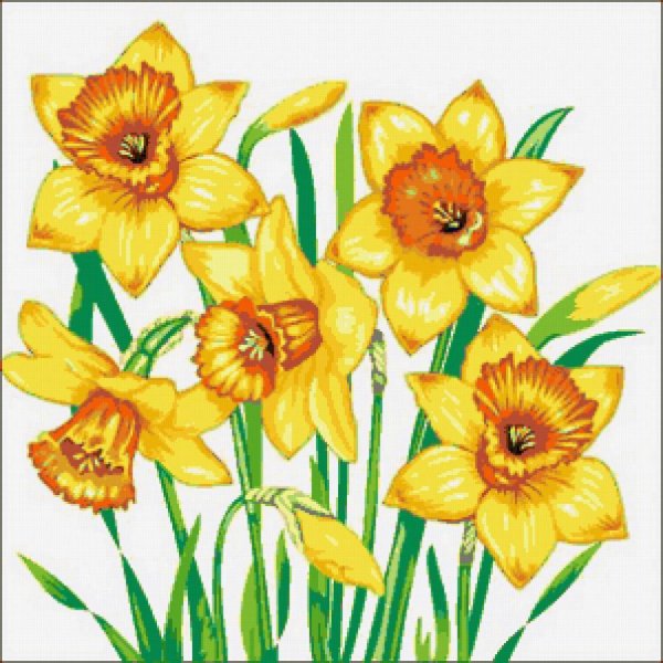 Вышивка гладью нарциссы