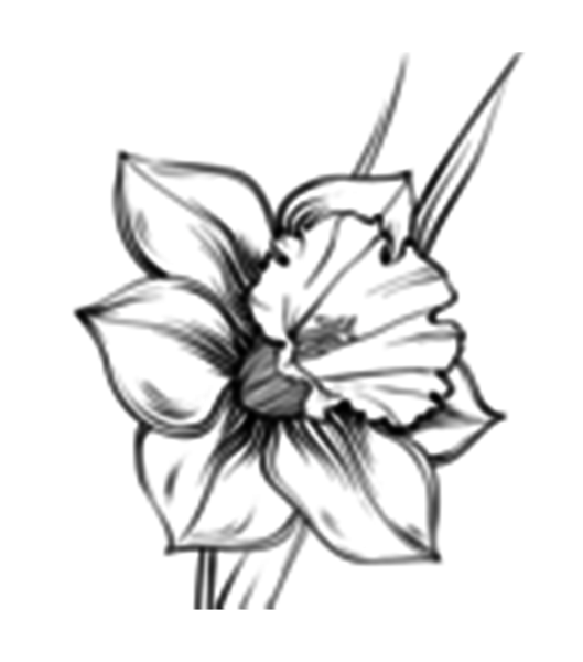 Нарцисс эскиз тату