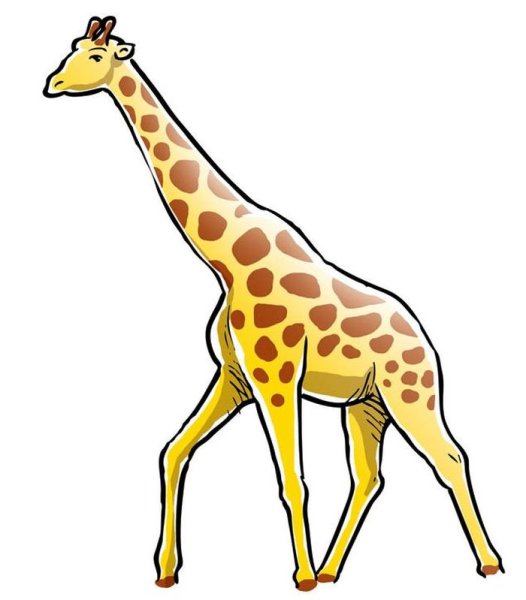 Жираф рисунок для детей