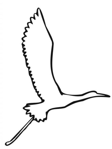 Журавль на белом фоне