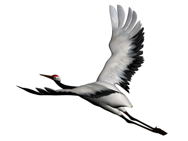 Журавль контур