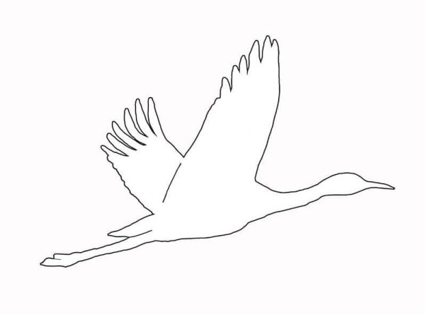 Журавль в полете трафарет