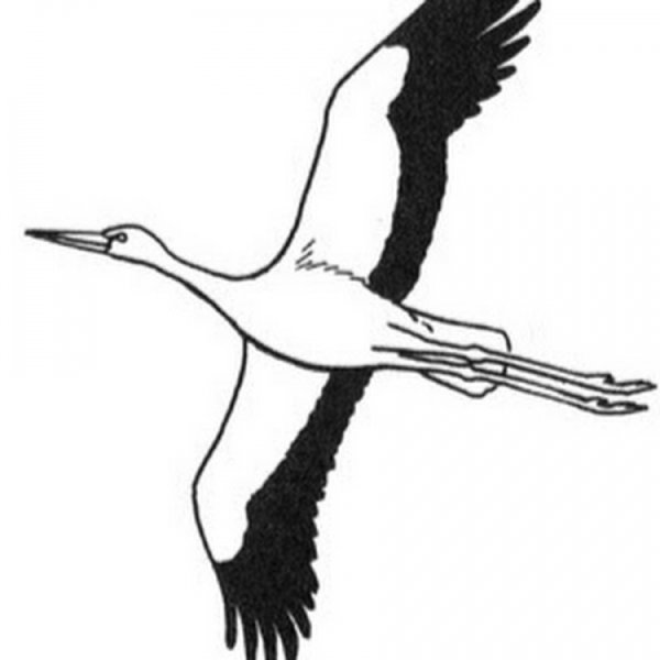 Журавли шаблон