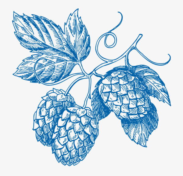 Хмель Графика