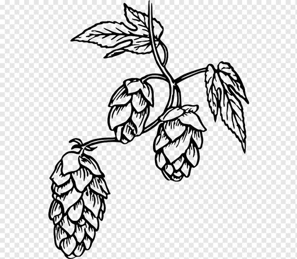 Хмель и солод вектор