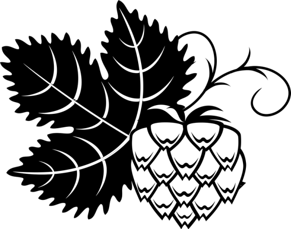 Шишка хмеля вектор