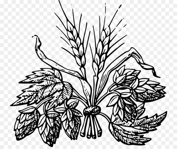 Хмель и пшеница вектор