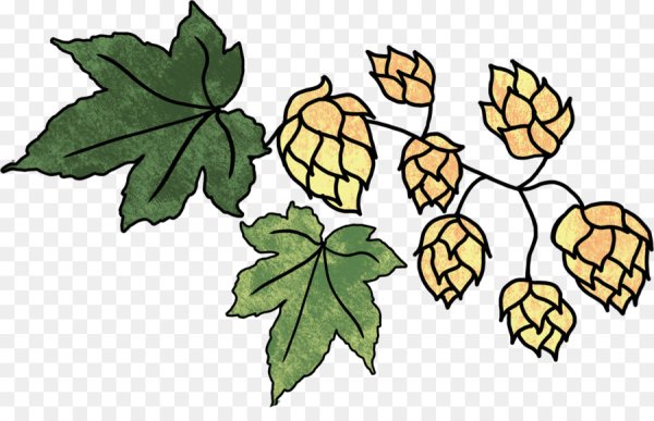 Веточка хмеля