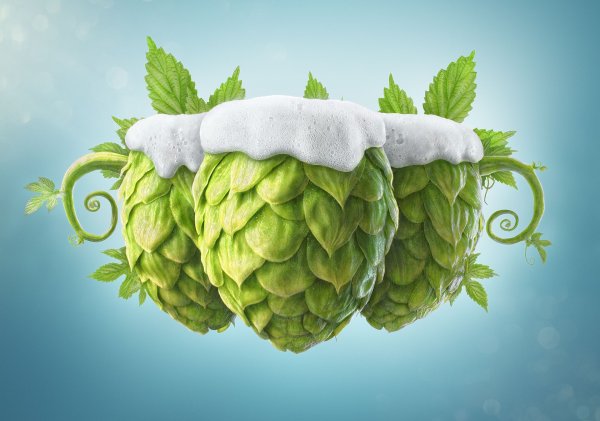 Хмель клипарт