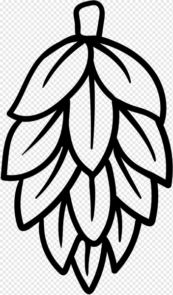 Шишка хмеля вектор