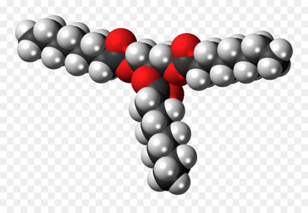 Молекула липида формула