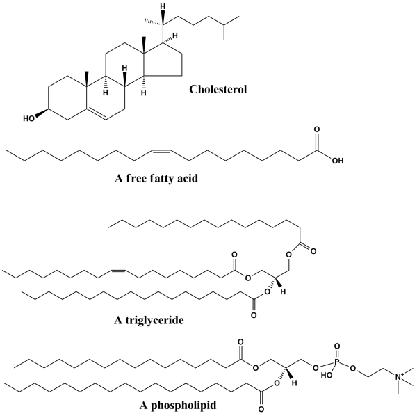 Структура олеиновой кислоты
