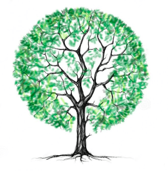 Рисование кроны дерева