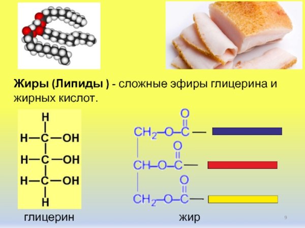 Глицерин и жирные кислоты
