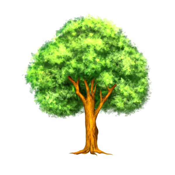 Макет дерева крона для детей