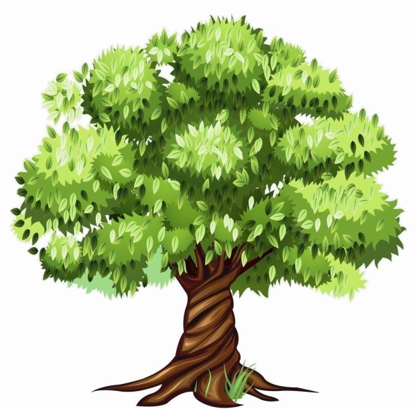 Нарисовать дерево