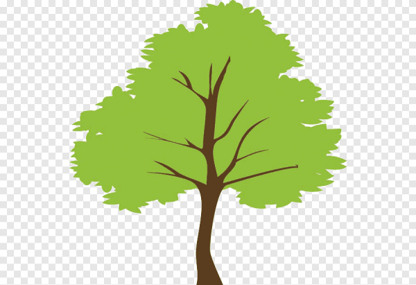 Дерево раскраска