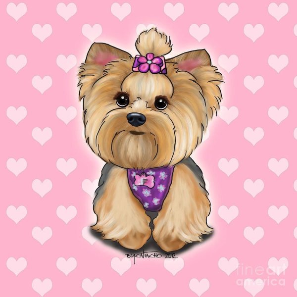 Мультяшные Йоркширские терьеры