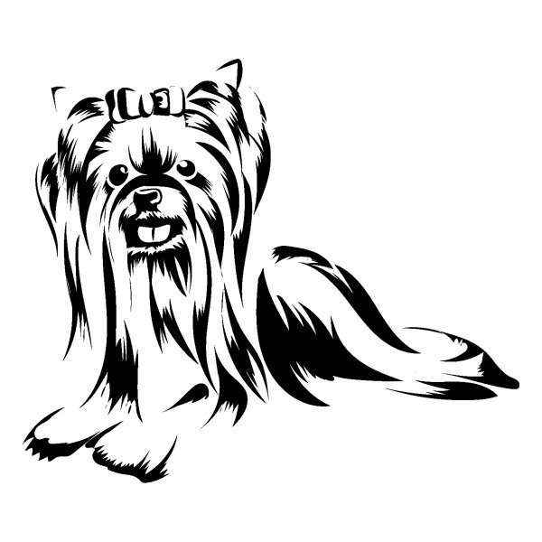 Раскраска Йоркширский терьер