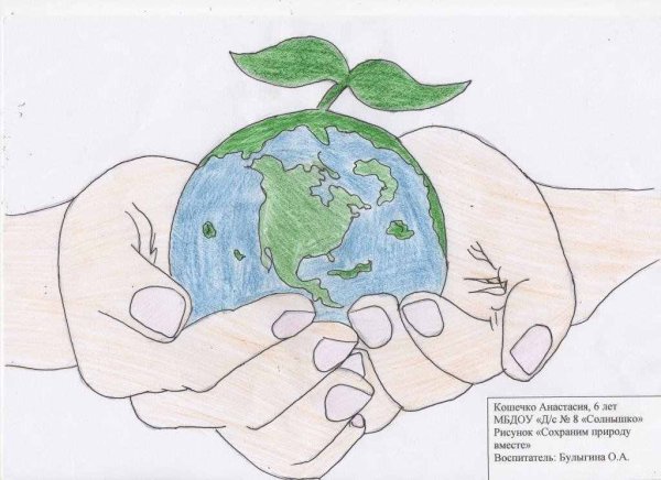 Рисунок на тему сохраним природу