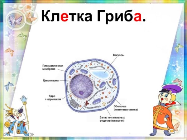 Вакуоль в клетке гриба